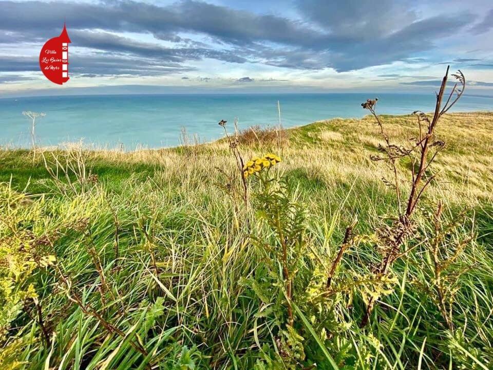 Villa Saint Jacques, Appart La Mer Le Tréport Kültér fotó