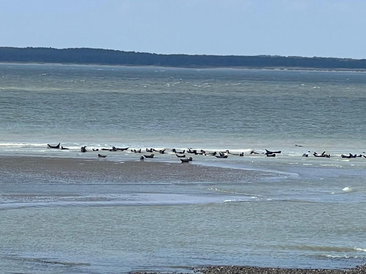 Villa Saint Jacques, Appart La Mer Le Tréport Kültér fotó